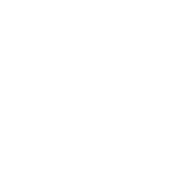Saleem Snapping logo